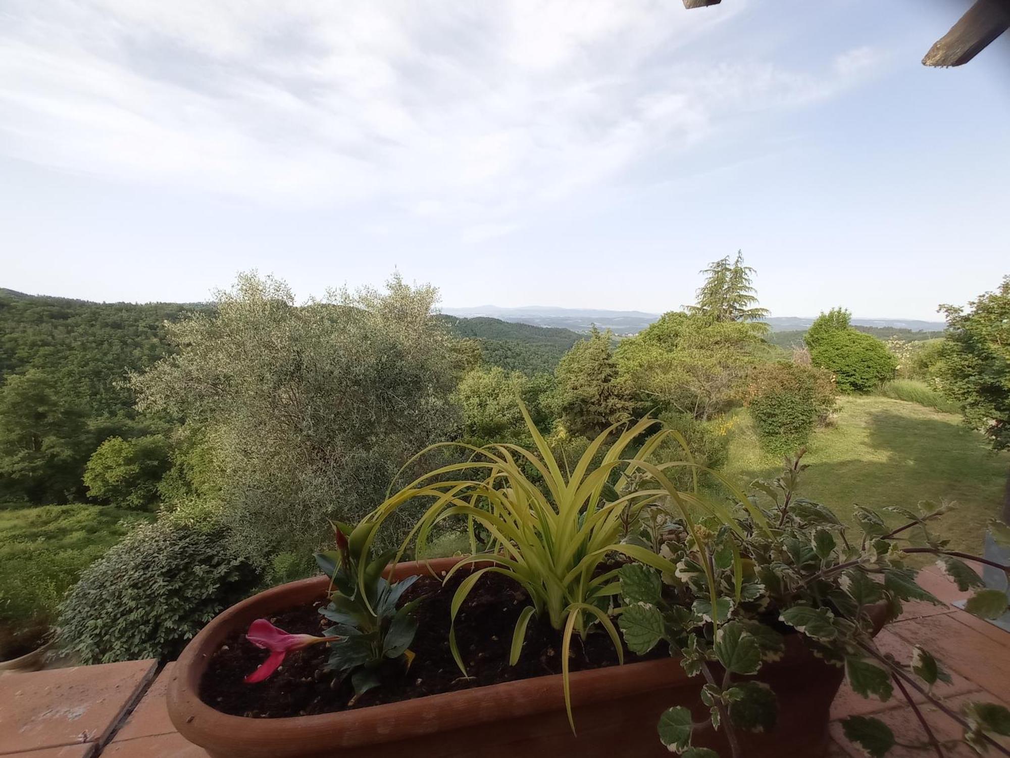 Podere L'Aquila Gaiole in Chianti Quarto foto